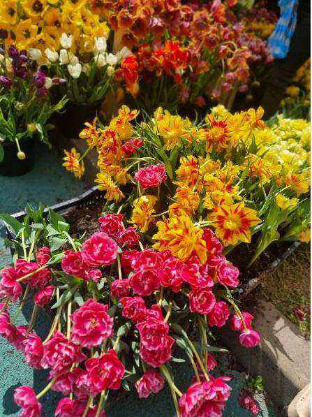 Blumenstrauß 2